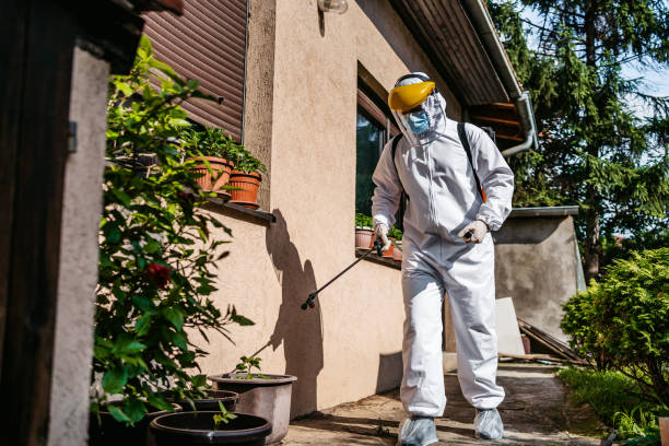 Best Termite Control Services  in Benbrook, TX