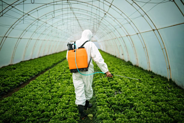 Best Pest Control Near Me in Benbrook, TX