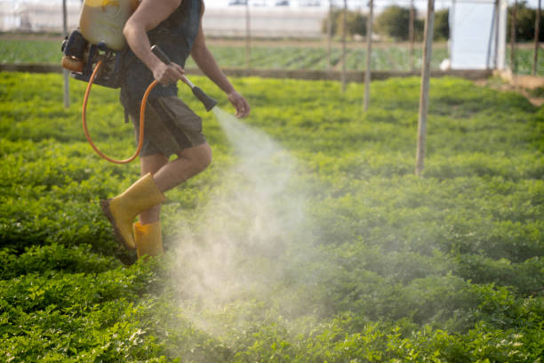 Best Commercial Pest Control Services  in Benbrook, TX