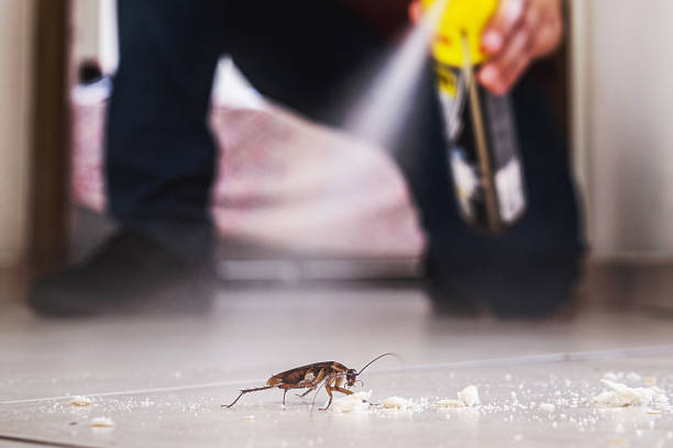 Best Commercial Pest Control Services  in Benbrook, TX