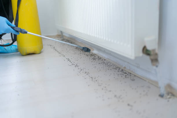 Pest Control for Restaurants in Benbrook, TX